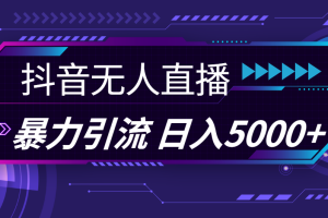 (11709期)抖音无人直播,暴利引流,日入5000+