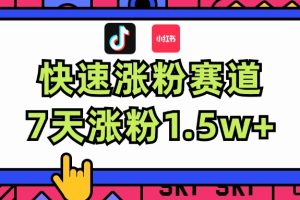 (11949期)涨粉超快蓝海赛道!轻松伪原创,7天涨粉1.5w+