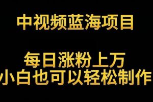 中视频蓝海项目，解读英雄人物生平，每日涨粉上万，小白也可以轻松制作，月入过万不是梦【揭秘】