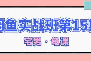 龟课·闲鱼无货源电商课程第15期，一个月收益几万不等【33节视频-无水印】