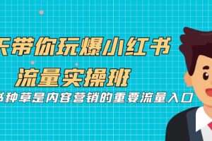 5天带你玩爆小红书流量实操班，小红书种草是内容营销的重要流量入口