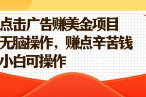 点击广告赚美金项目，无脑操作，赚点辛苦钱 小白可操作【视频课程】