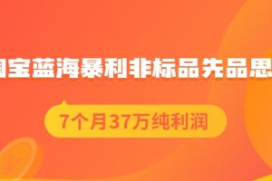 淘宝蓝海暴利非标品先品思路，7个月37万纯利润，压箱干货分享！【付费文章】