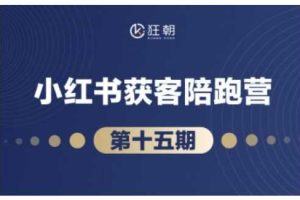 抖音小红书视频号短视频带货与直播变现(11-15期),打造爆款内容，实现高效变现