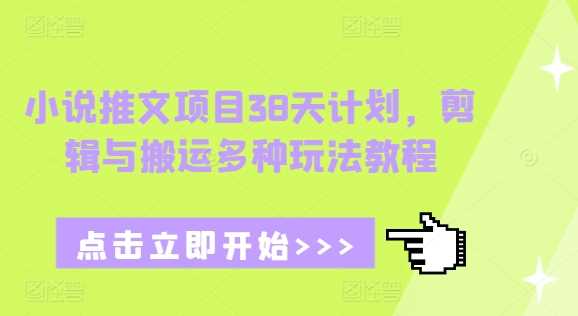 小说推文项目38天计划,剪辑与搬运多种玩法教程