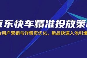 （14185期）京东快车精准投放策略，结合用户营销与详情页优化，新品快速入池引爆流量