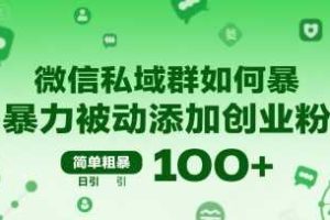 微信私域群如何暴力被动添加创业粉，简单粗暴，日引100+
