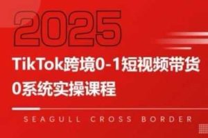 TikTok跨境0-1短视频带货，系统拆解TikTok跨境带货全链路，实现跨境可持续盈利