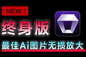 Win/Mac双端支持！最新永久终身版，支持老照片修复，图片变清晰无损放大工具，Aiarty Image Enhancer