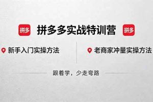 （18468期）拼多多实战特训营(更新5月15)：不管是新手入门或老商家冲量，都有实操方法，跟着学，少走弯路