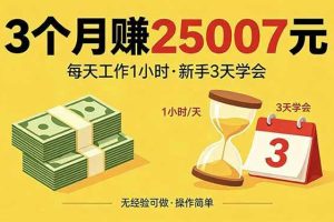 （18325期）3个月赚钱25007元，每天工作1个小时，新手3天全部学会！