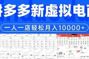 （17978期）拼多多虚拟电商一人一店轻松月入10000+