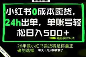 小红书0成本AI卖货，24小时出单，全流程托管，保底日入500+，每天十几分钟就够了【揭秘】