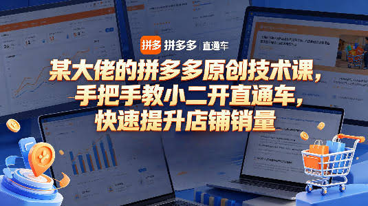 某大佬的拼多多原创技术课，手把手教小二开直通车，快速提升店铺销量