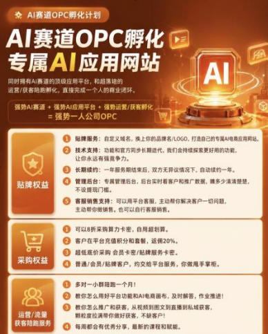【首发】OPC一人公司项目，单日500+，手机电脑不限制，打造属于自己的品牌画布AI产品，收费陪跑【揭秘】