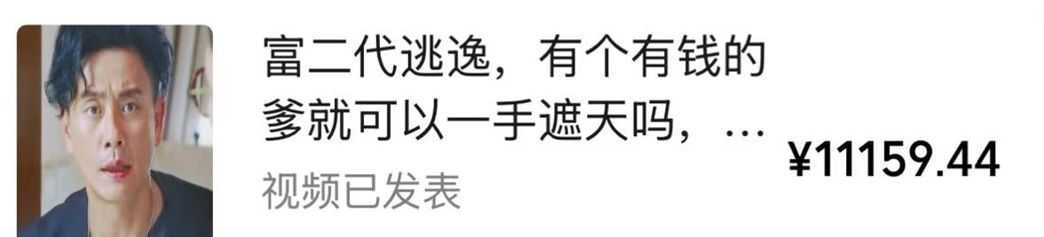 视频号某大佬的影视搬运教学，纯手法操作，可以多个平台可以发布，撸分成计划+伙伴计划+光合计划收益等