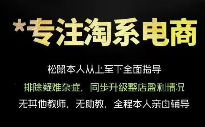 松鼠会电商VIP课程，从基础布局到高阶优化，助你掌握淘宝运营逻辑，提升店铺流量与转化（更新1029）